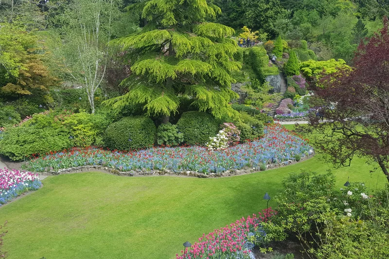 Colourful flower beds and winding paths in the Sunken Garden at The Butchart Gardens