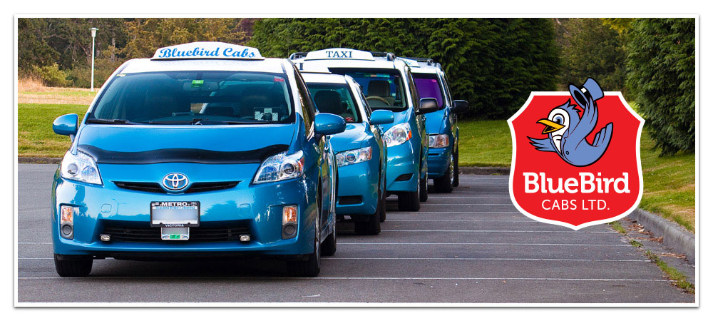 BlueBird Cabs Fleet